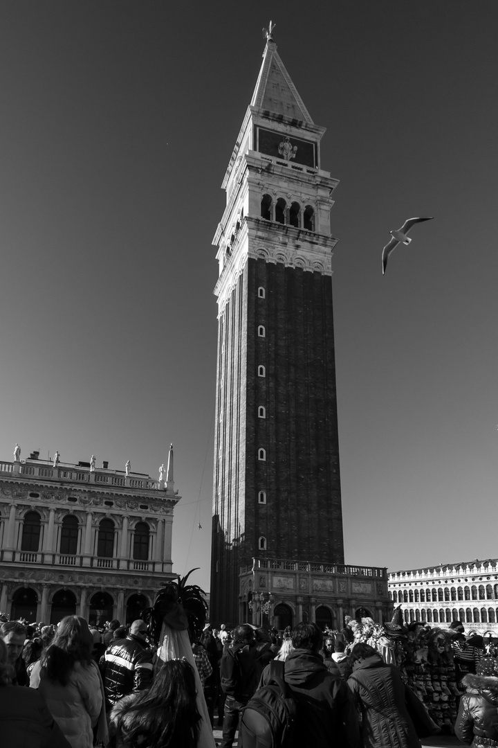 The Tower and the Seagull