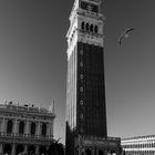 The Tower and the Seagull