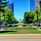 The Tower Bridge In Sacramento