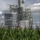 the tower of cologne - TÜV Rheinland Hauptzentrale