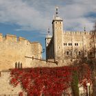 The Tower of London