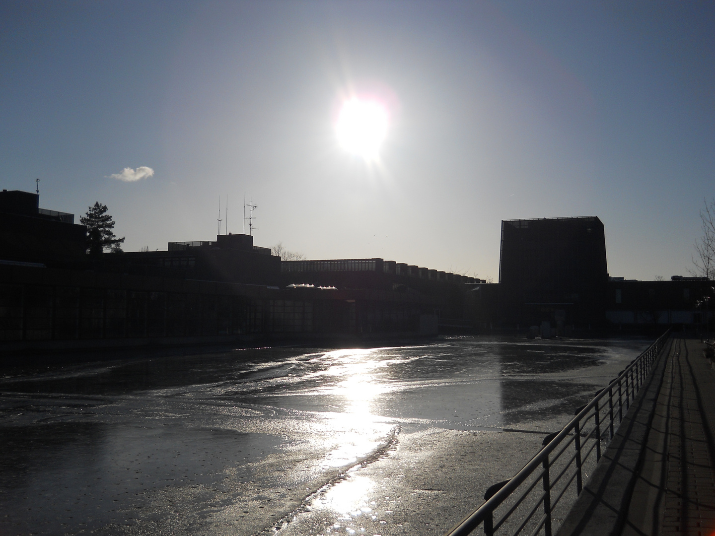 The town hall pond of my home town Albertslund.