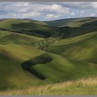 the track to uswayford 5 Cheviot Hills