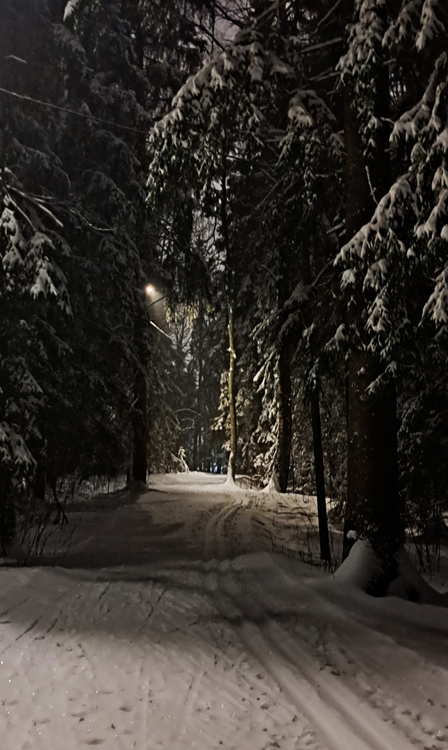 The trail on Central Park of Helsinki