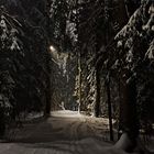 The trail on Central Park of Helsinki