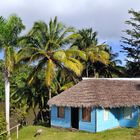 The trail through the National Park near Baracoa