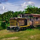 The train to Manaca-Iznaga