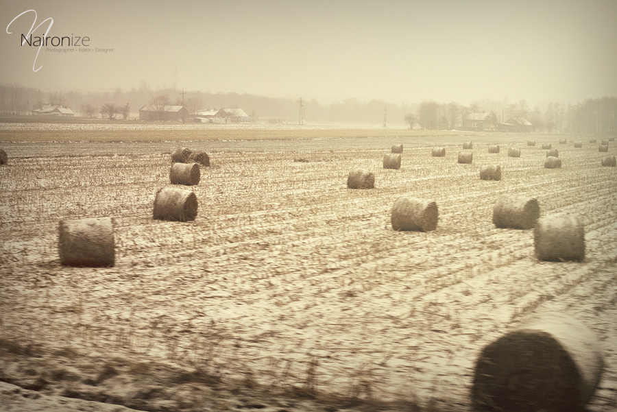 The Train Window.