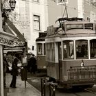 the Tram