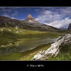 the tranquillity of the lake