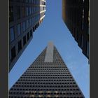 The Transamerica Pyramid in San Francisco (The Jet)