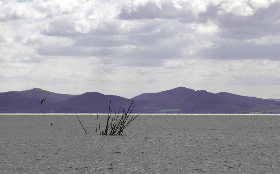 The Trasimeno Lake