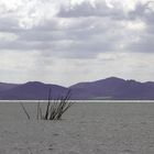 The Trasimeno Lake