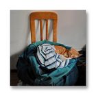 ... the traveling cats sleeping bag