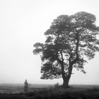 The tree at the end of the world