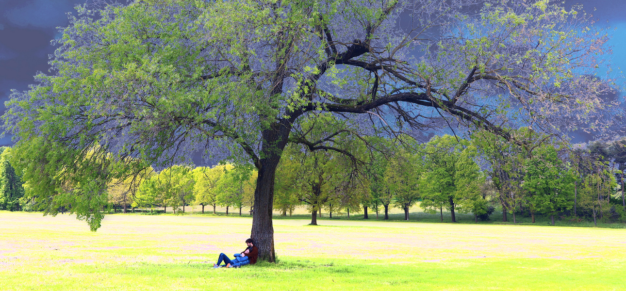 The Tree of Love