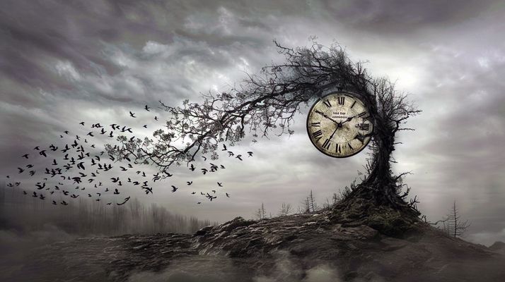 The Tree of Passing Moments