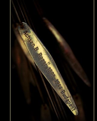 The tree of the life