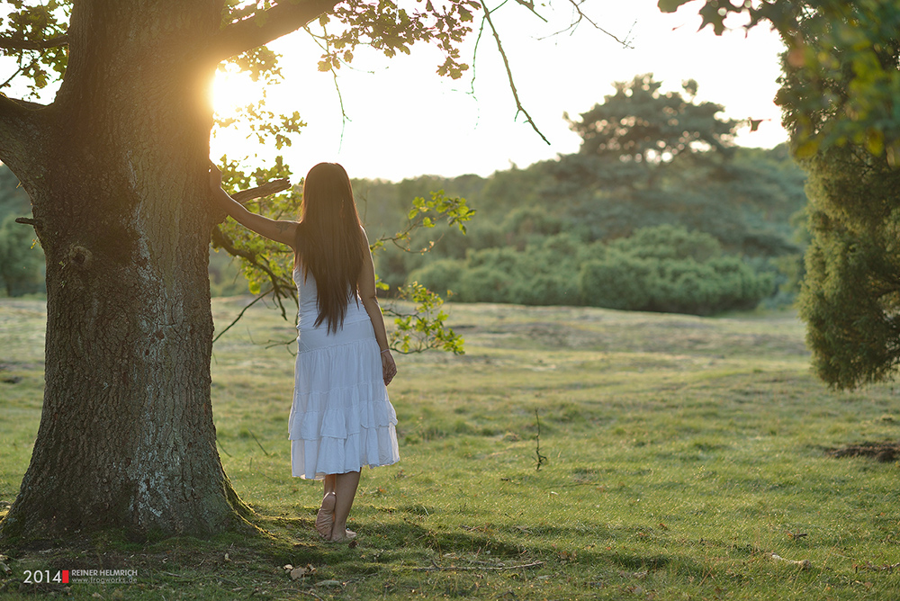 the tree | the girl | the sun