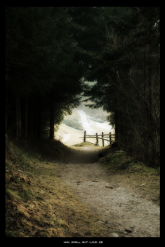 The Tunnel at the End of the Light