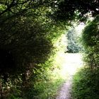 The Tunnel of the Sleeping Beauty