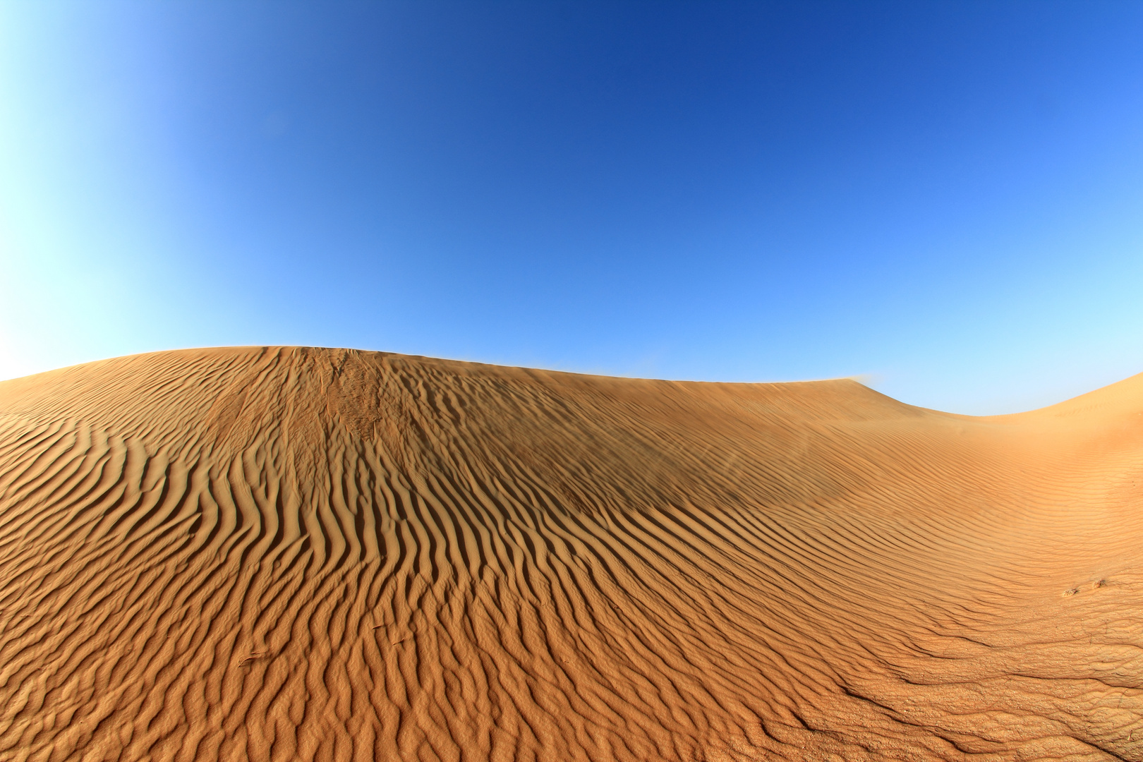 The UAE Desert