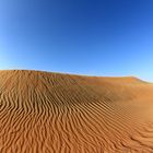 The UAE Desert