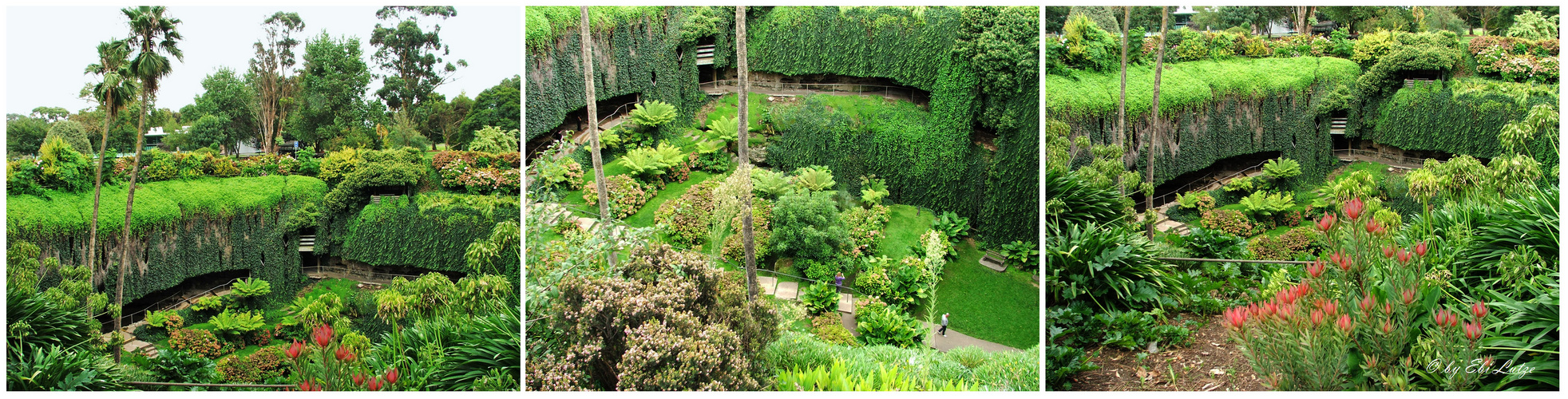 ** The Umpherston Sinkhole / Mount Gambier **