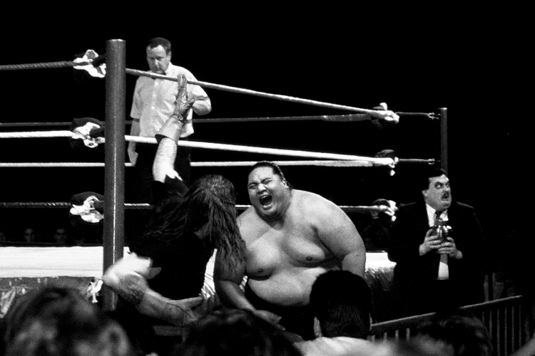 The Undertaker vs. Yokozuna (Dez. 1993)