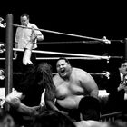 The Undertaker vs. Yokozuna (Dez. 1993)