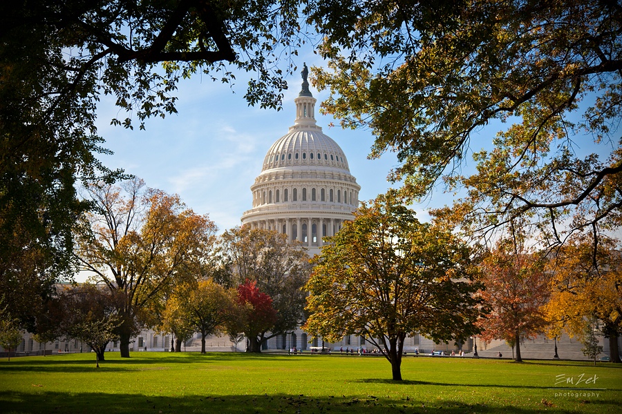 The United States Capitol