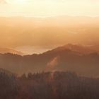 The valley of the Black Forest