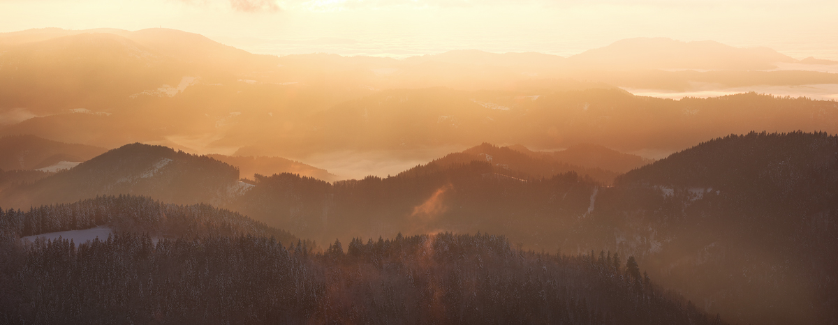 The valley of the Black Forest