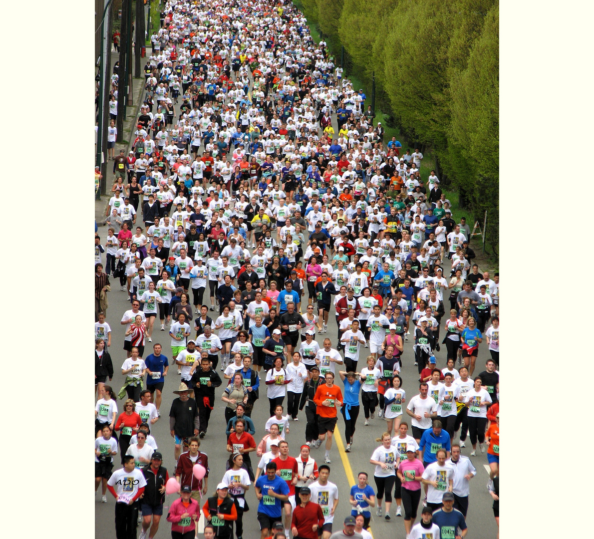 The Vancouver Sun Run