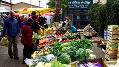 the vegetable man