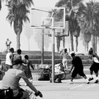 The Venice Beach Basketball Club