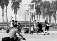 The Venice Beach Basketball Club