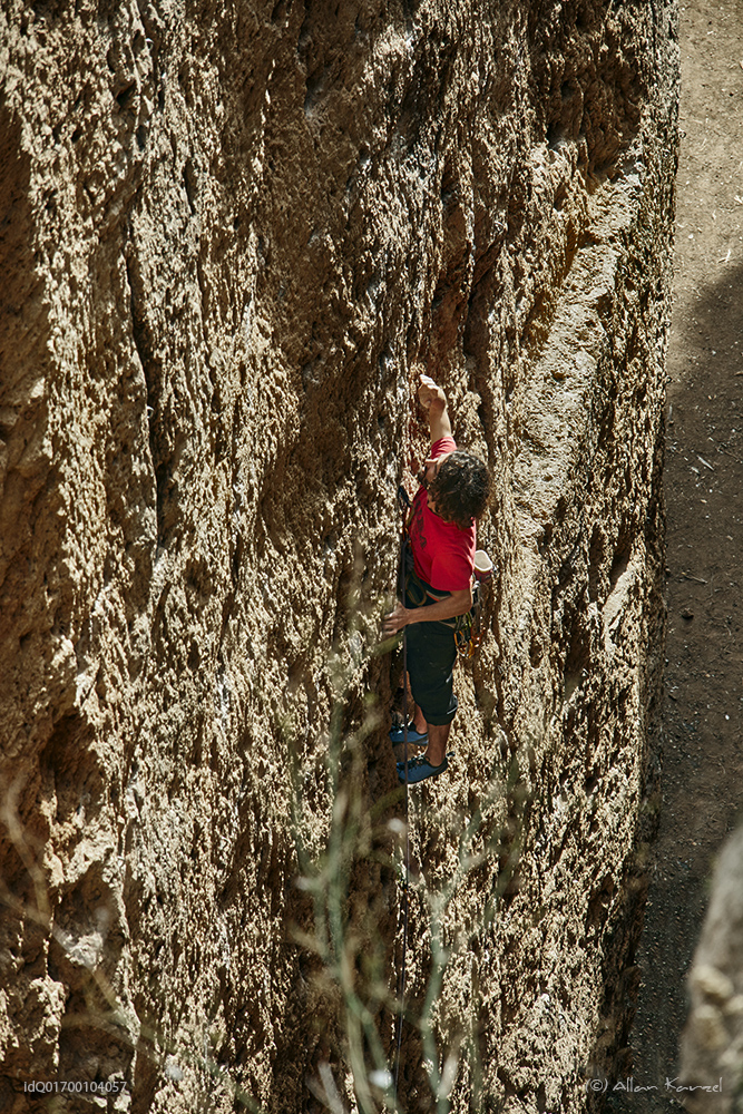 the vertical walker