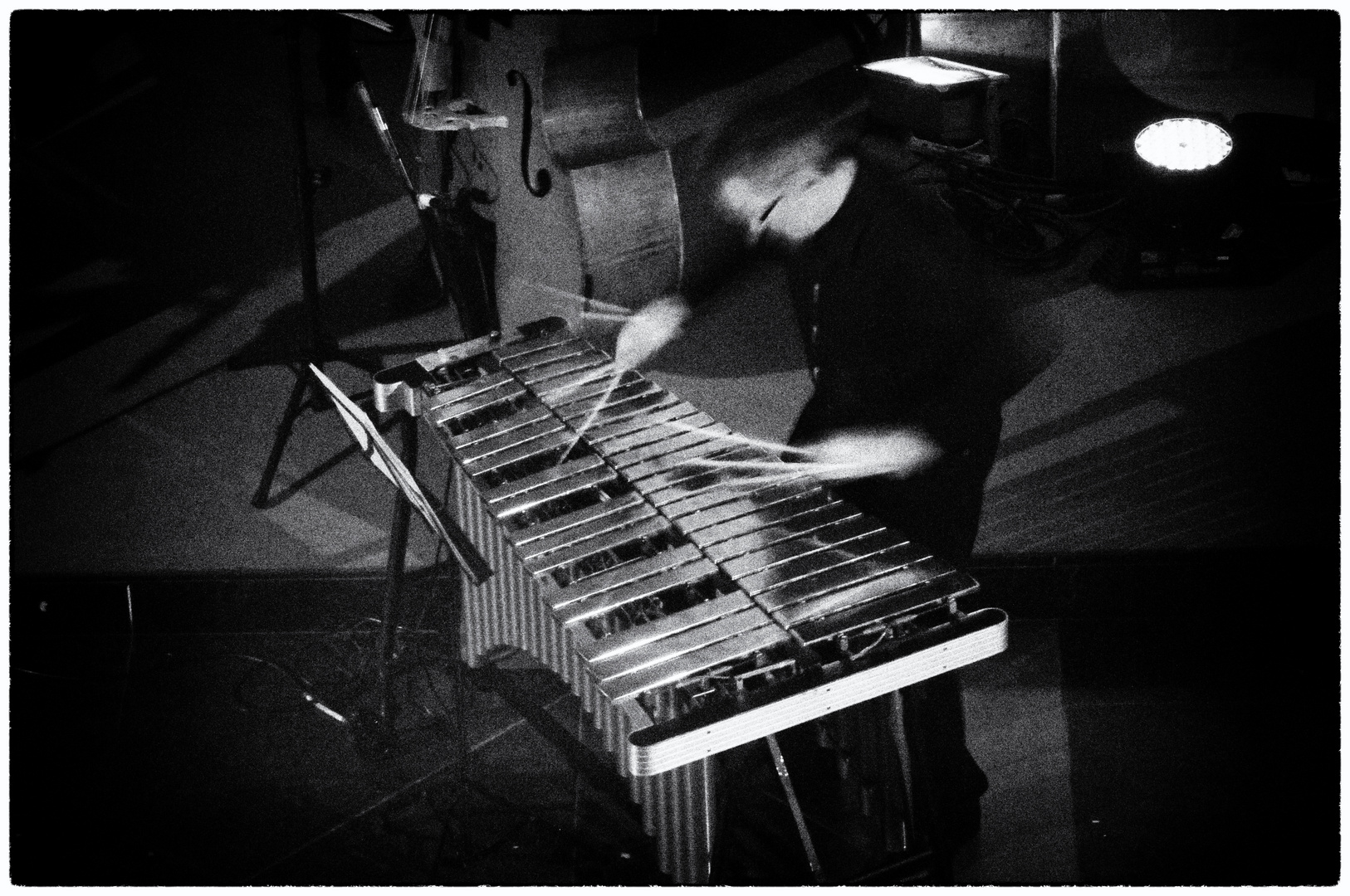 The Vibraphone Player