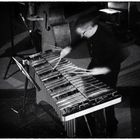 The Vibraphone Player