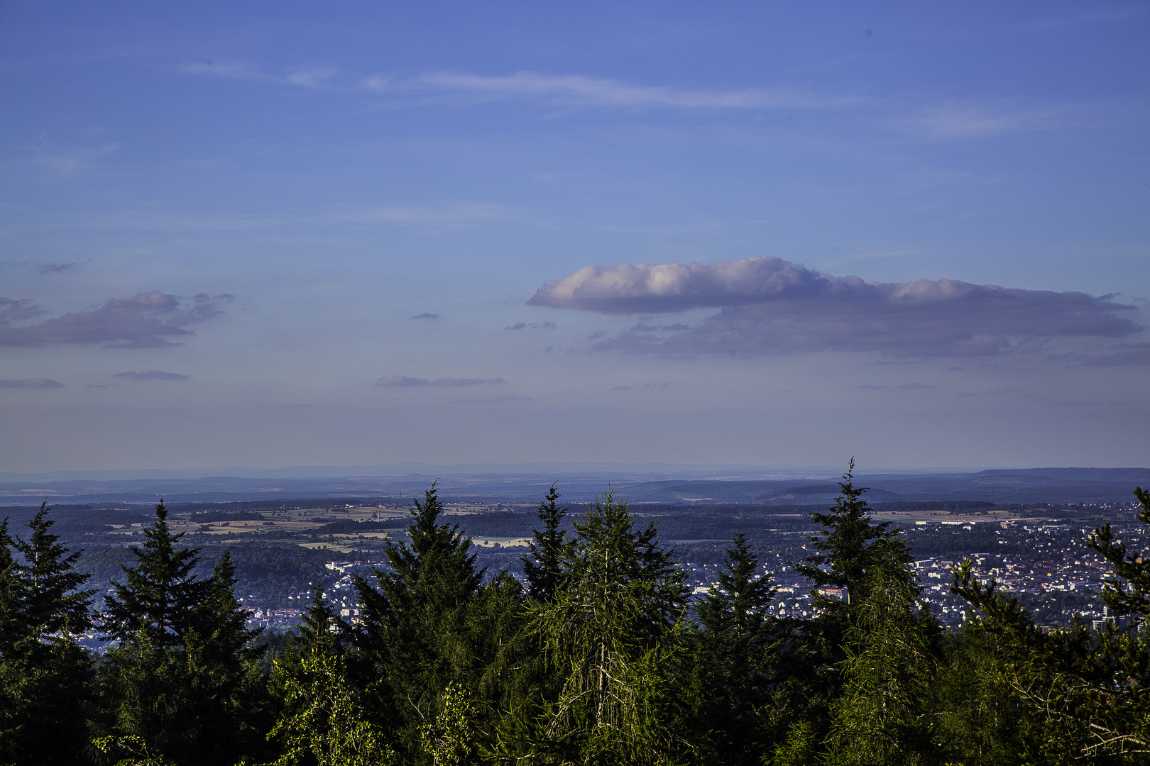 The view above the tree tops