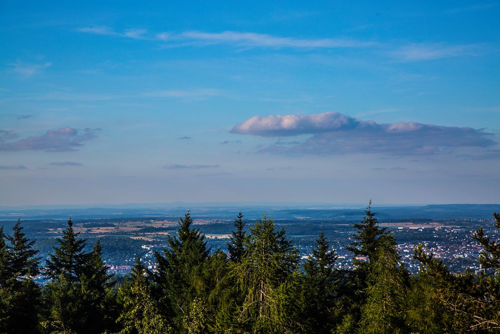 The view above the tree tops