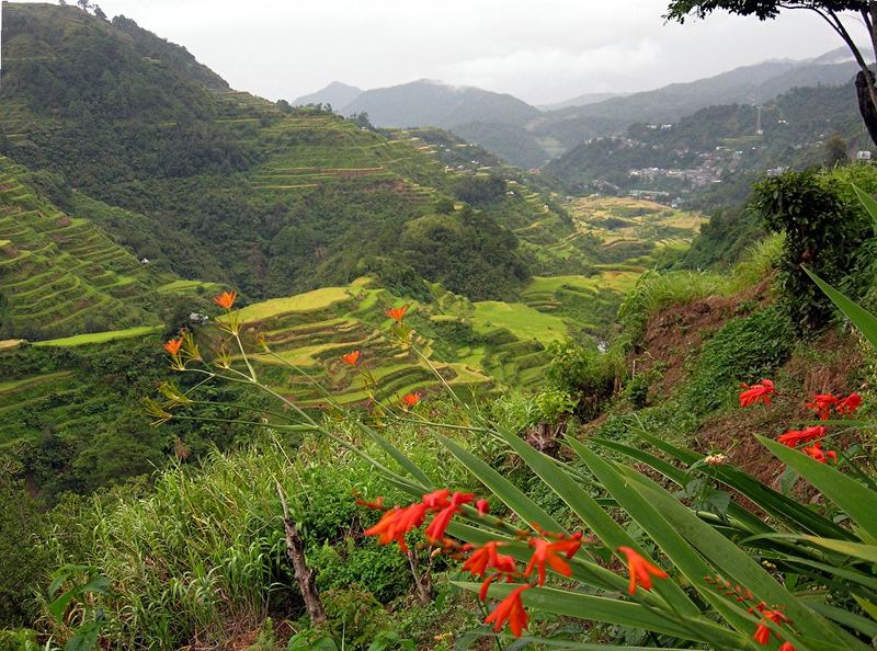 The View at Banauwe