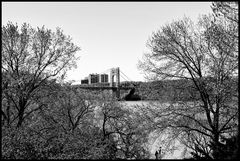 the view from Fort Tyron Park