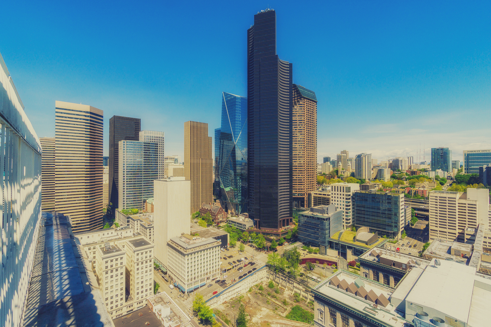 The view from the Smith Tower