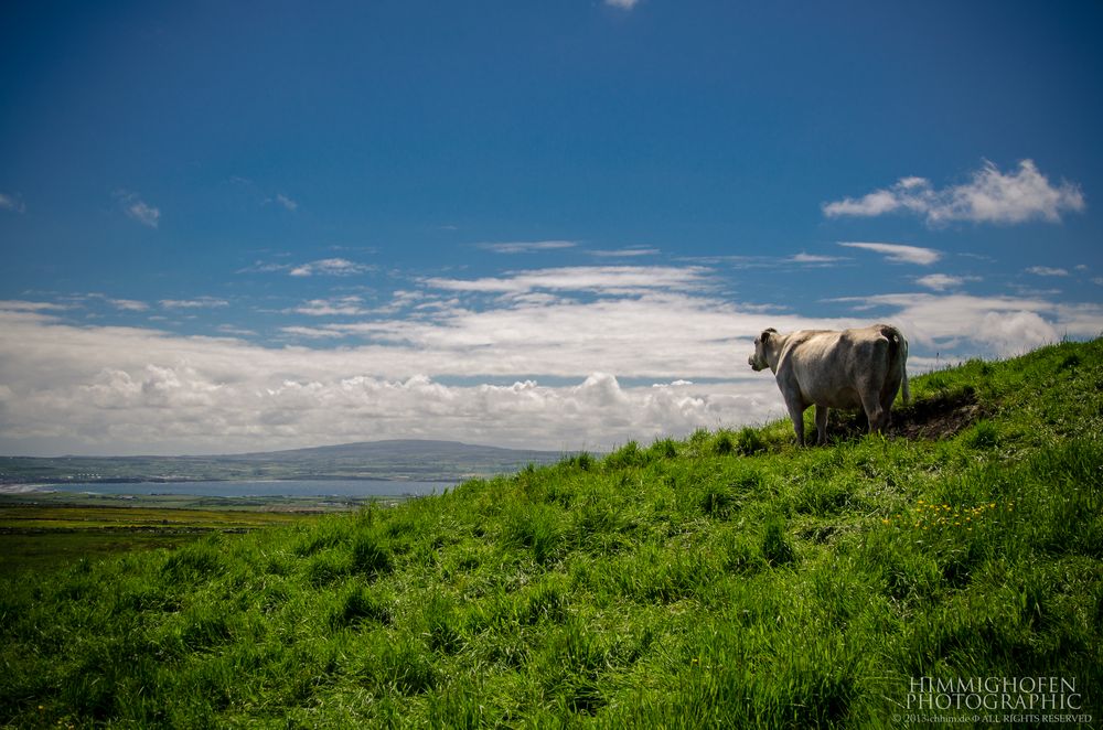 The View of Irland