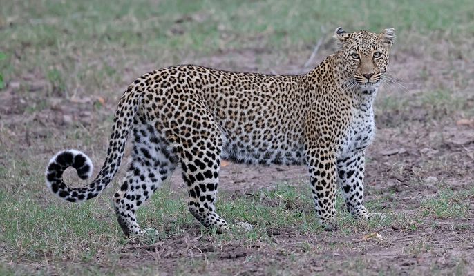 The view with Bahati