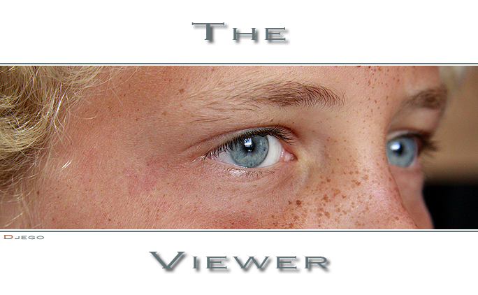 The Viewer