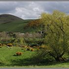 The village of Kirknewton and yeavering bell Northumberland