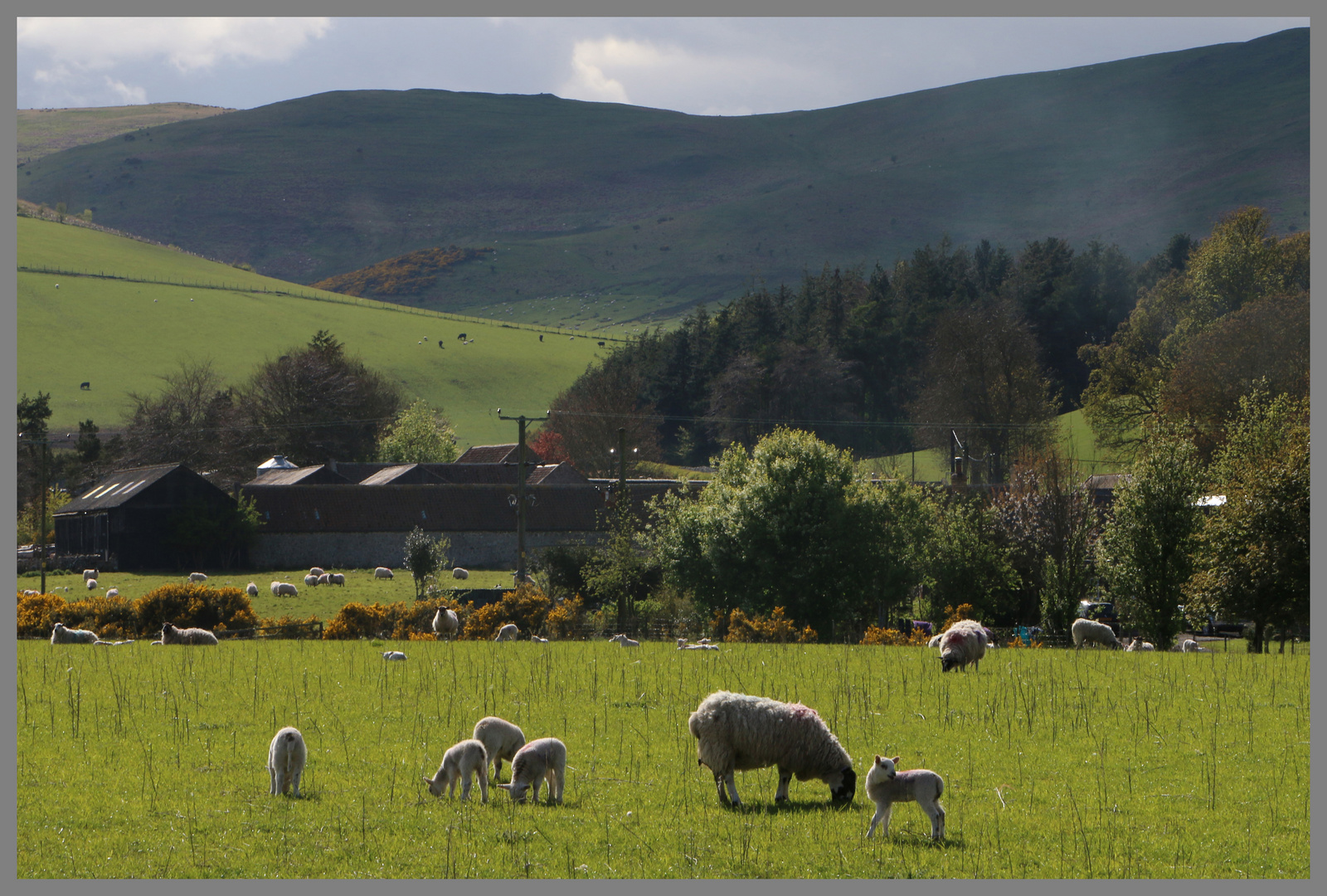 the village of westnewton in Glendale northumberland at dusk 2